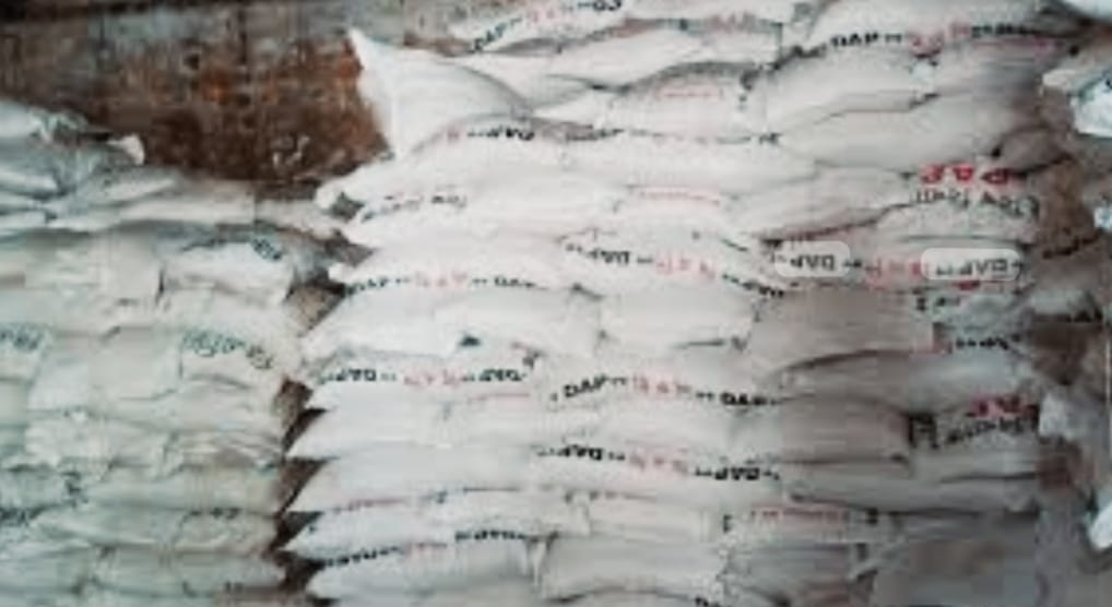 প্রভাবশালী সিন্ডিকেটের দৌরাত্ম্যে বিসিআইসির সার কালোবাজারে, ভোগান্তিতে কৃষক