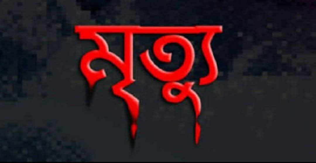 নবীনগরে পুকুরে ডুবে দুই ভাই-বোনের মর্মান্তিক মৃত্যু
